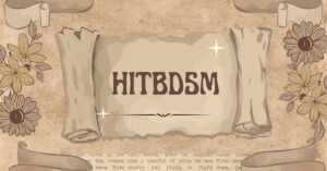 HitBDSM