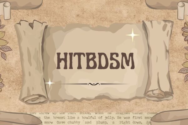 HitBDSM