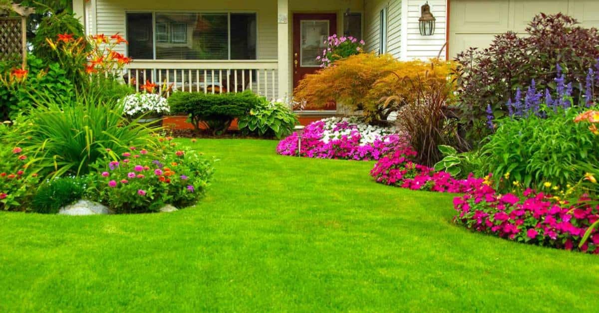 Lawn and Garden During a Drought